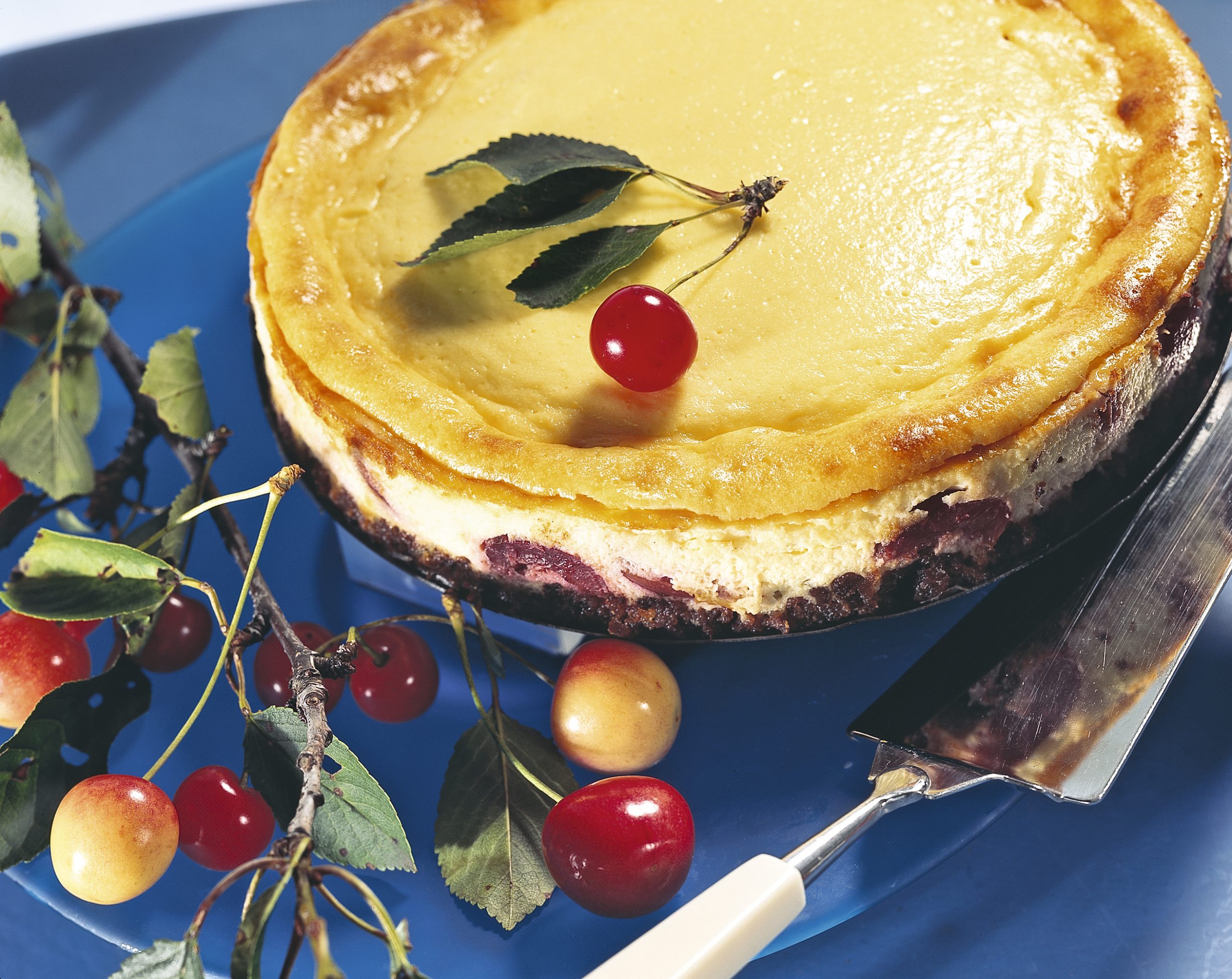 Schnelle Kirschen-Quarktorte
