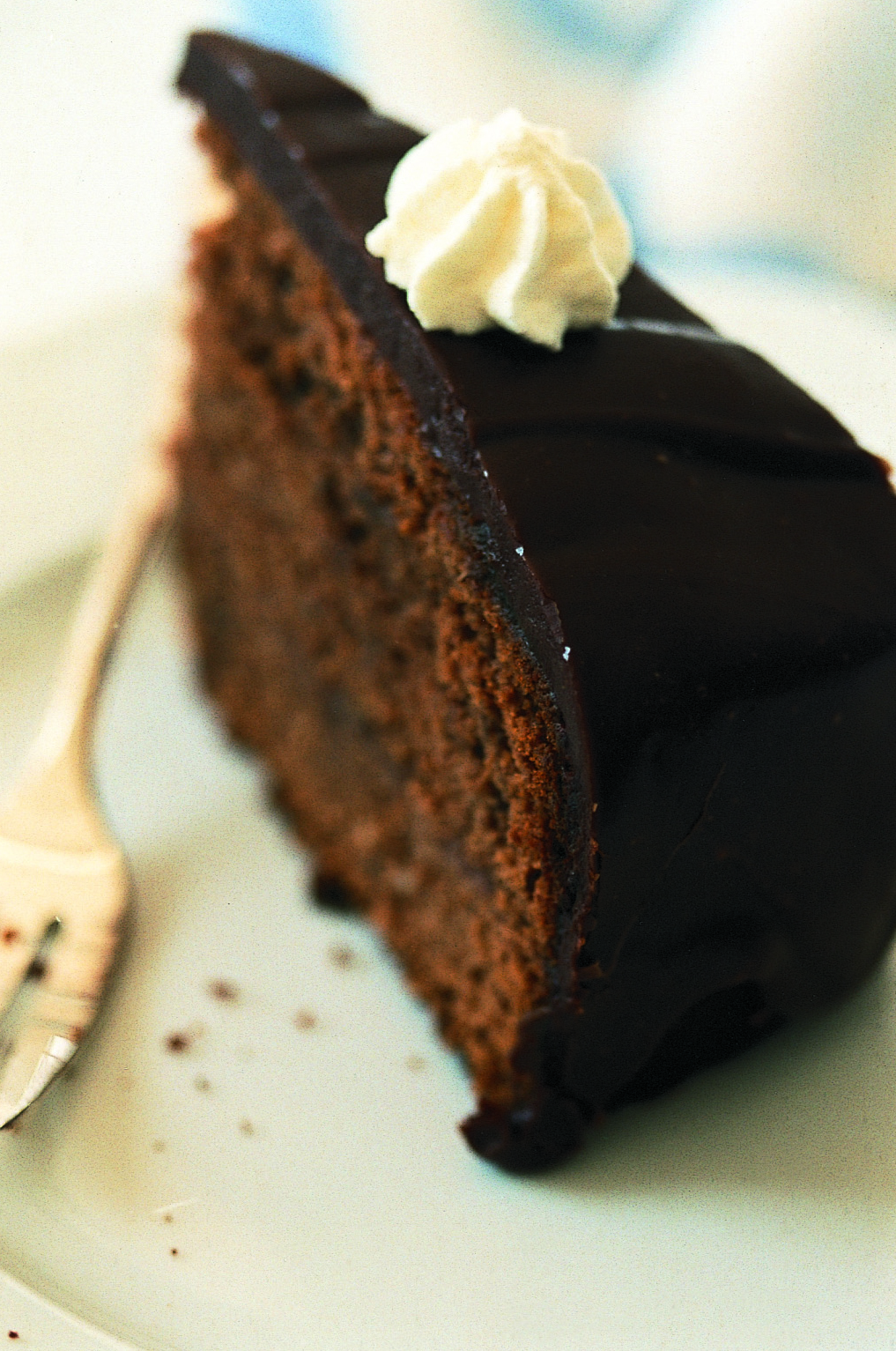 Biscuit au chocolat