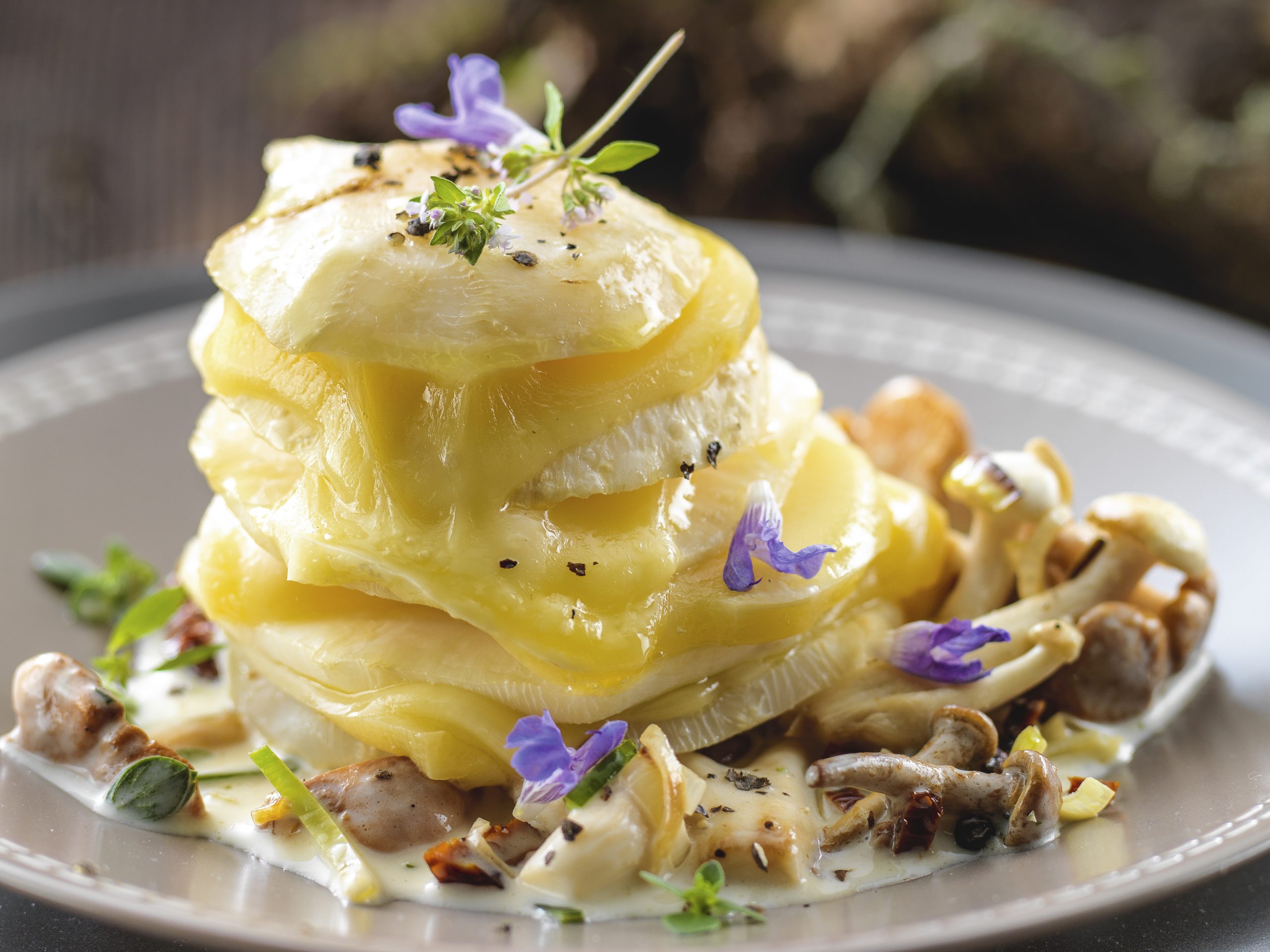 Millefeuilles de céleri sur lit de champignons