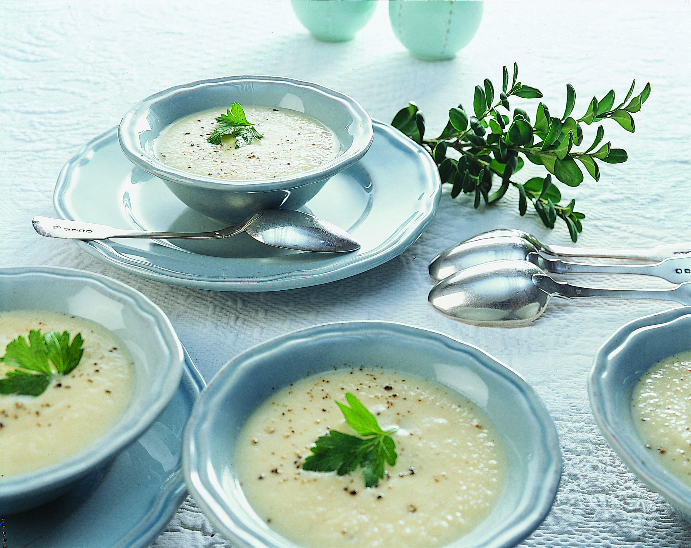 Velouté de céleri