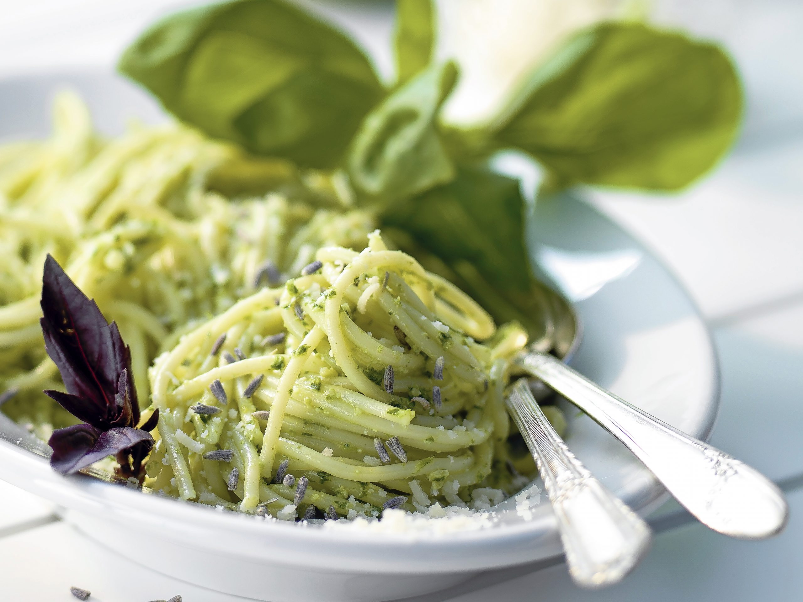 Spaghetti mit Kräuterpesto
