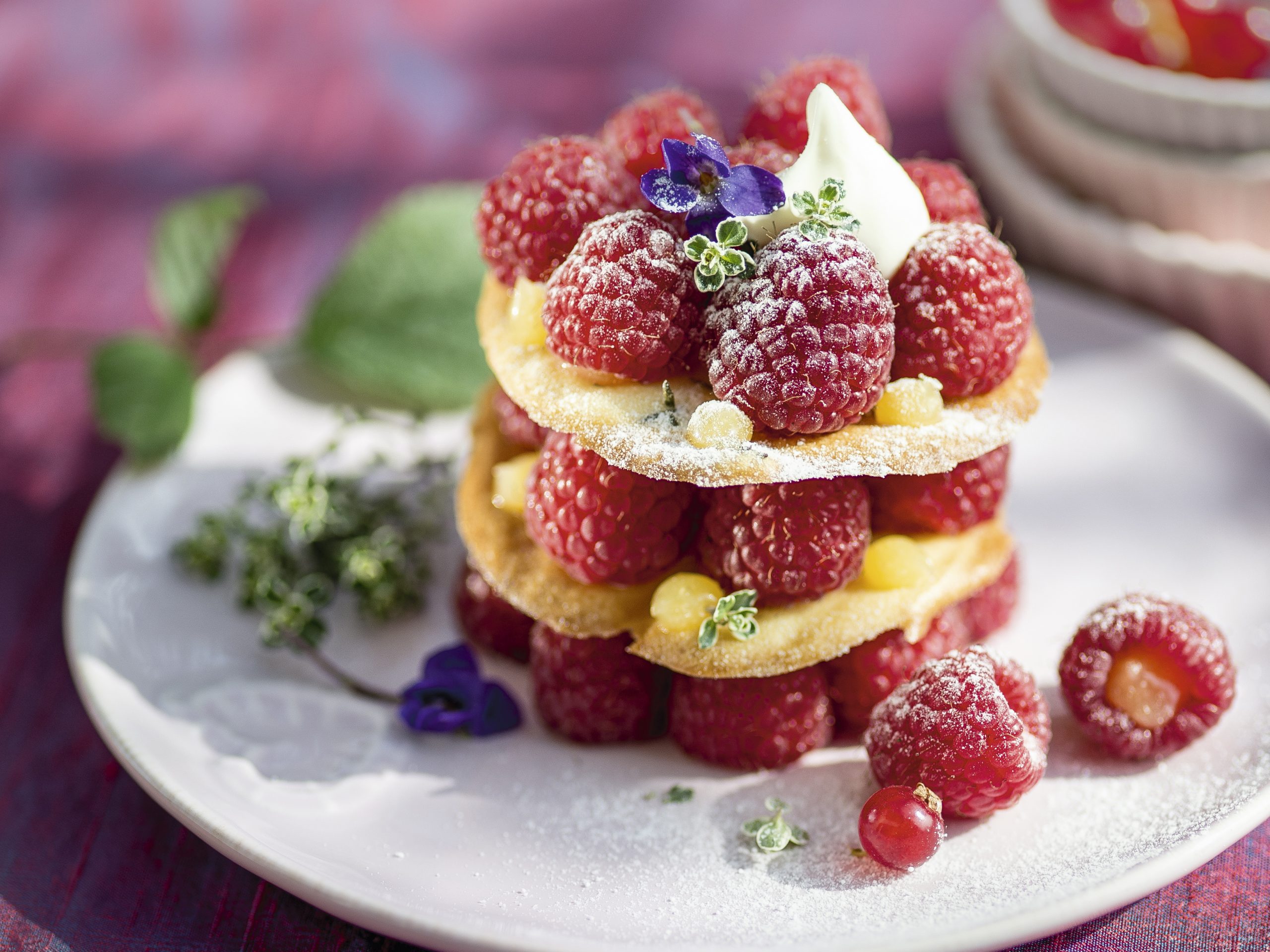Thymian-Dentelles mit Himbeeren