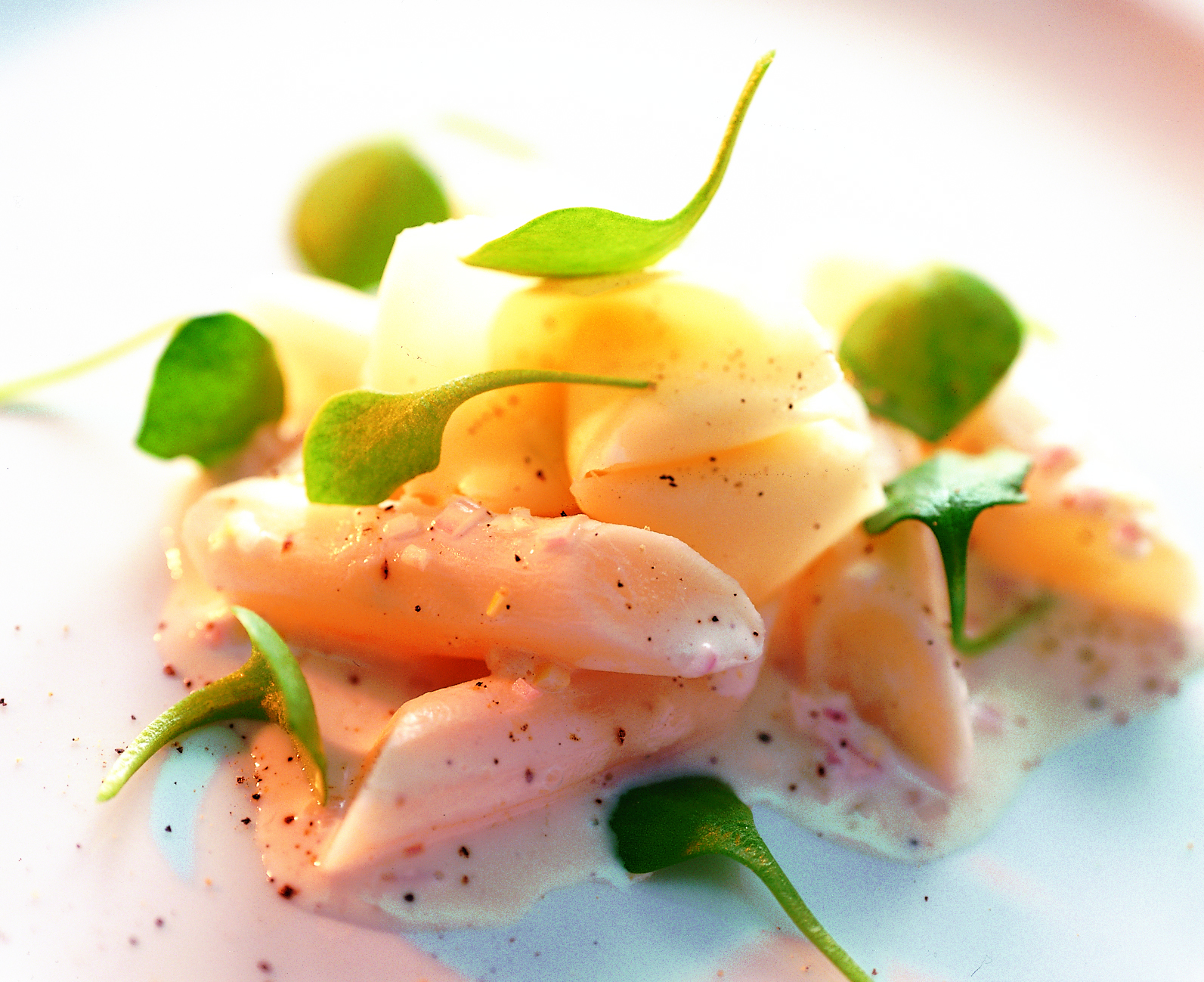 Tilsiter à la salade de pourpier et de salsifis au miel