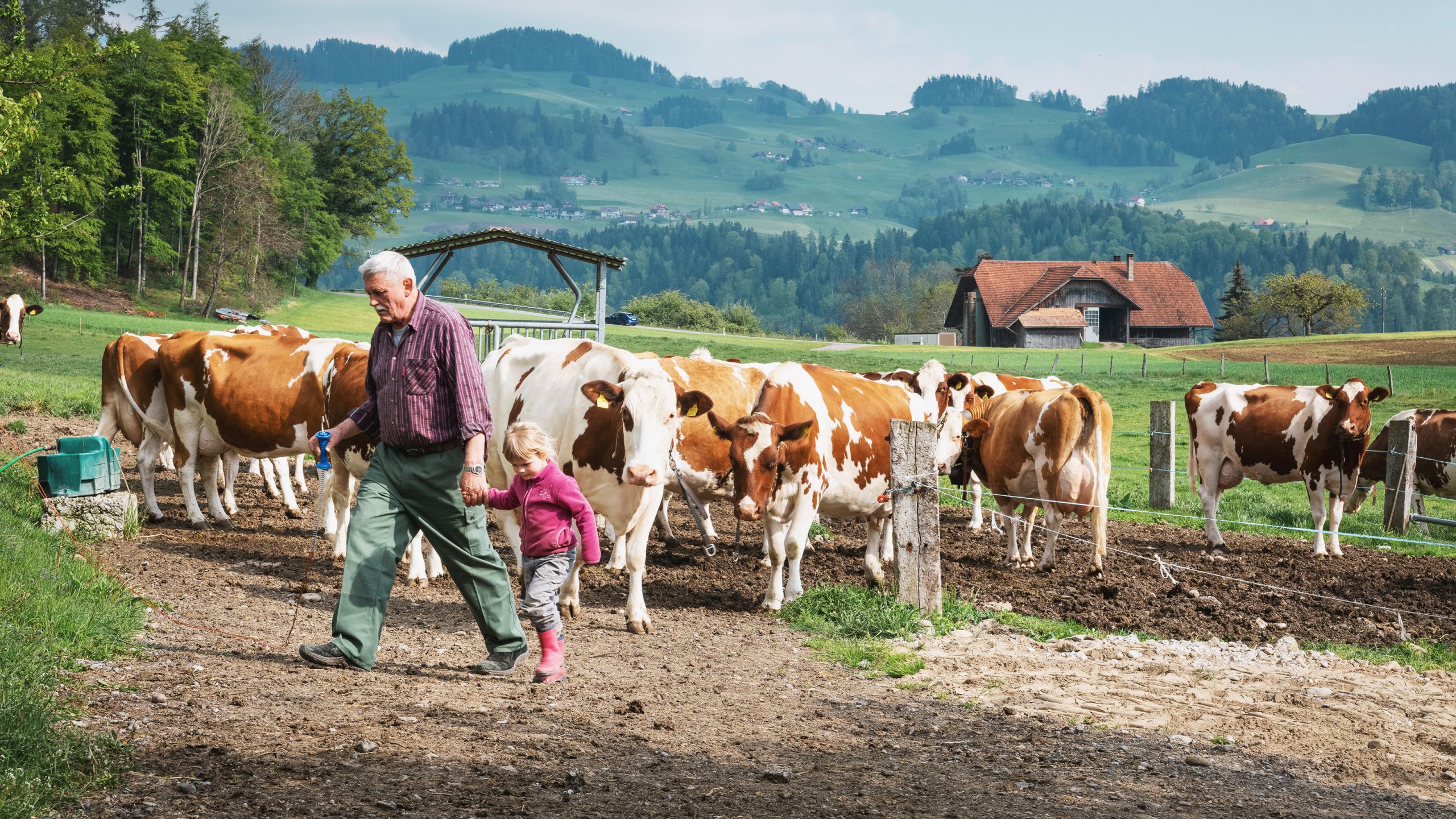 Nationale Interessenvertretung der Milchproduzenten