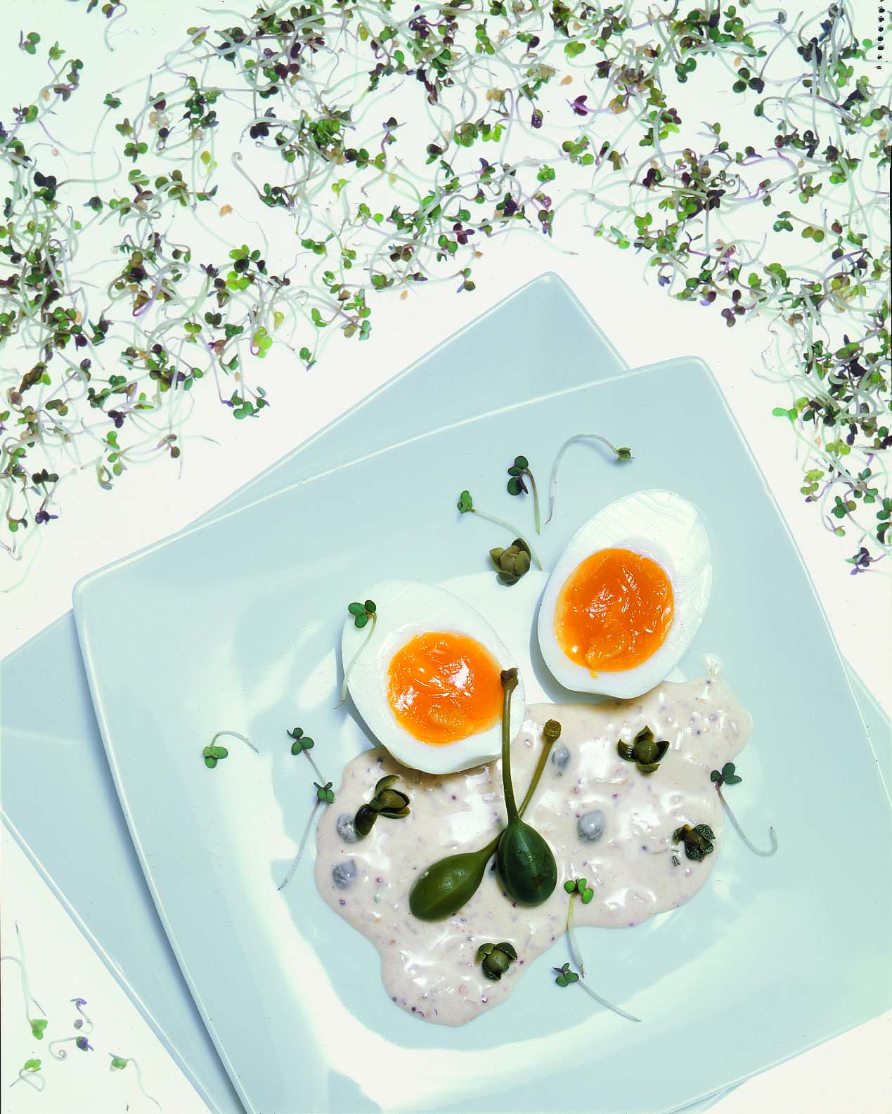 Wachsweiche Eier mit Senfsprossensauce