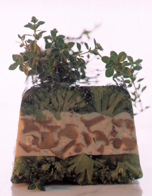 Waldpilz-Terrine mit Broccoli