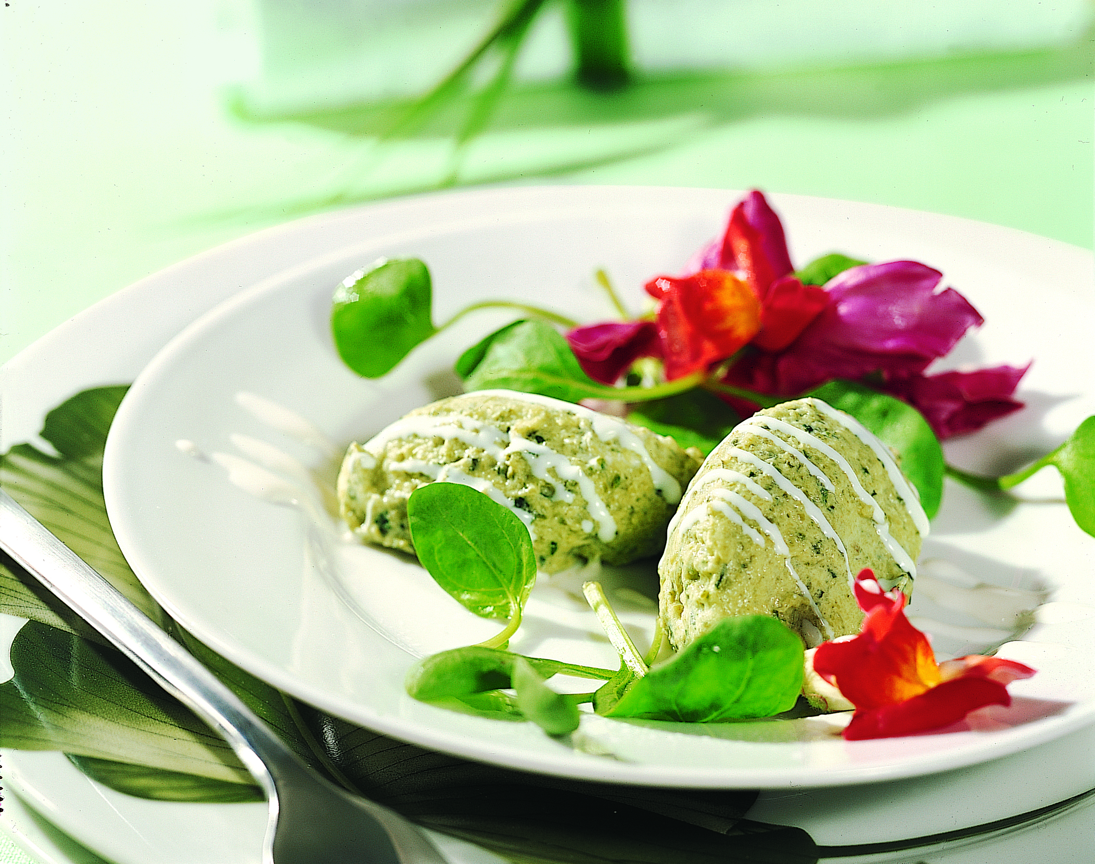 Mousse de courgettes sur lit de salade