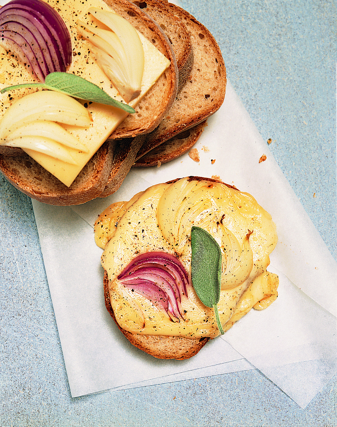 Croûtes au fromage et aux oignons