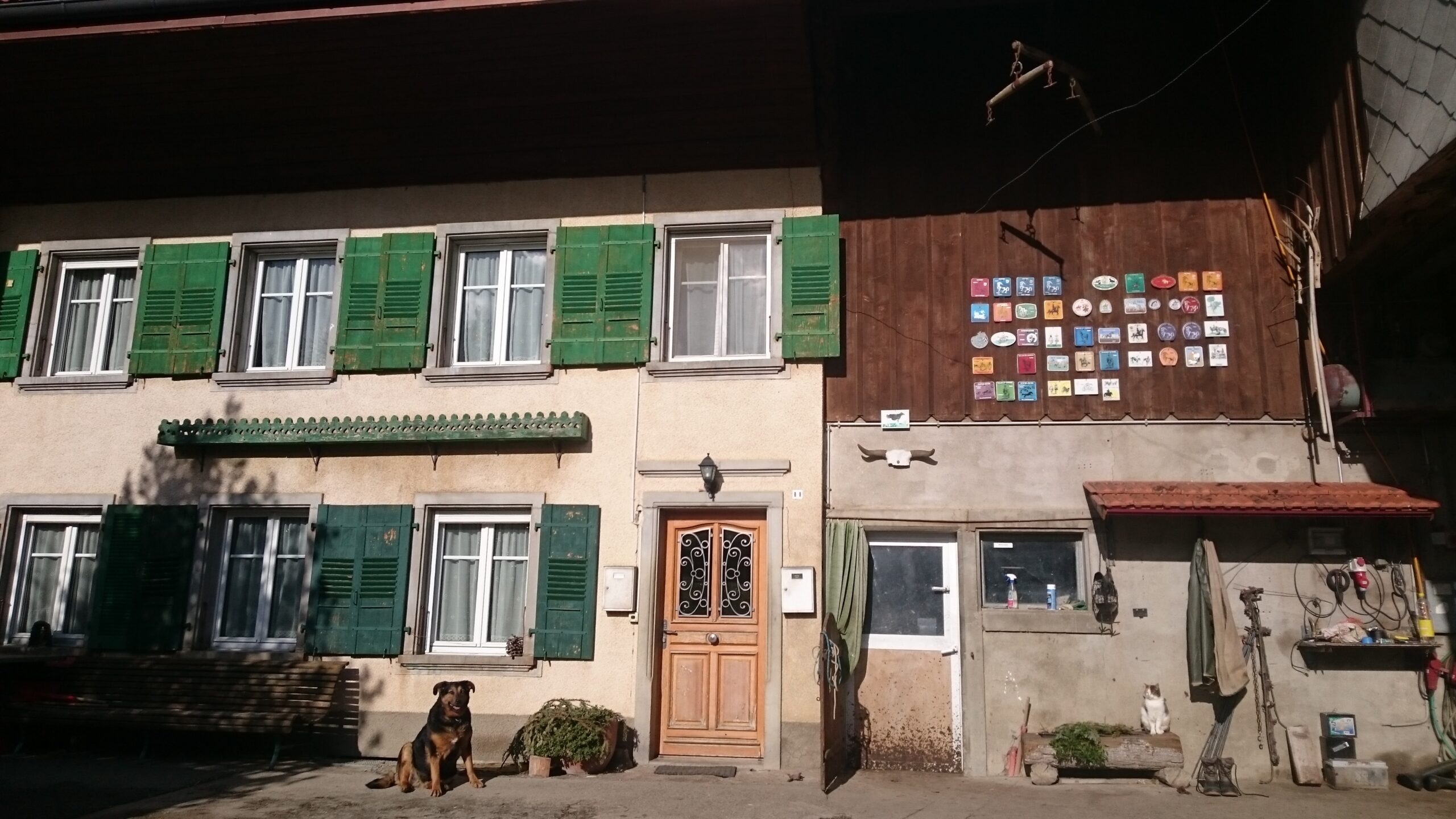 Hofladen von Joël und Joseph Charrière Vom Milchbuur