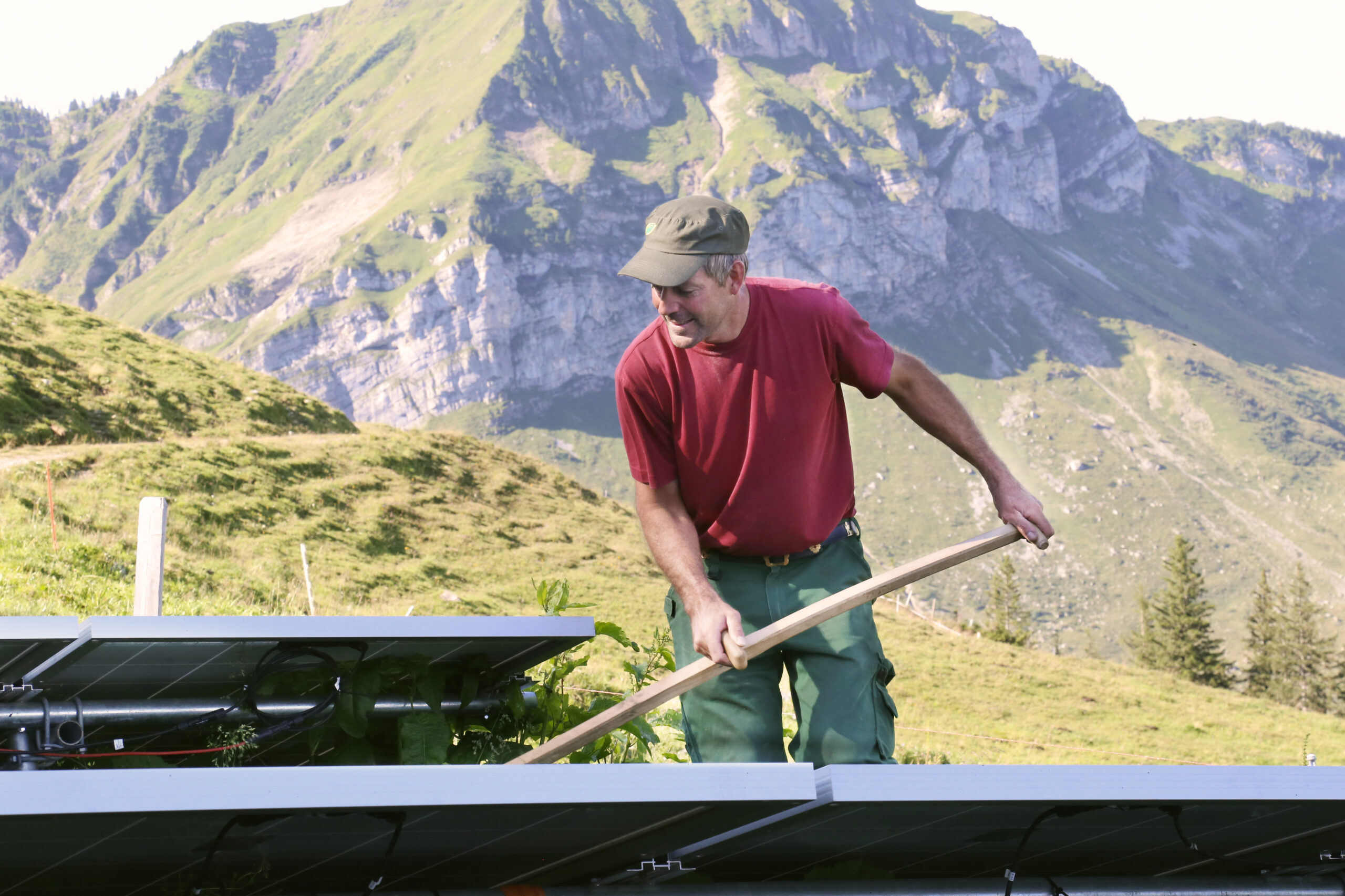 Beat Ming befreit die Solaranlage von Unkraut.
