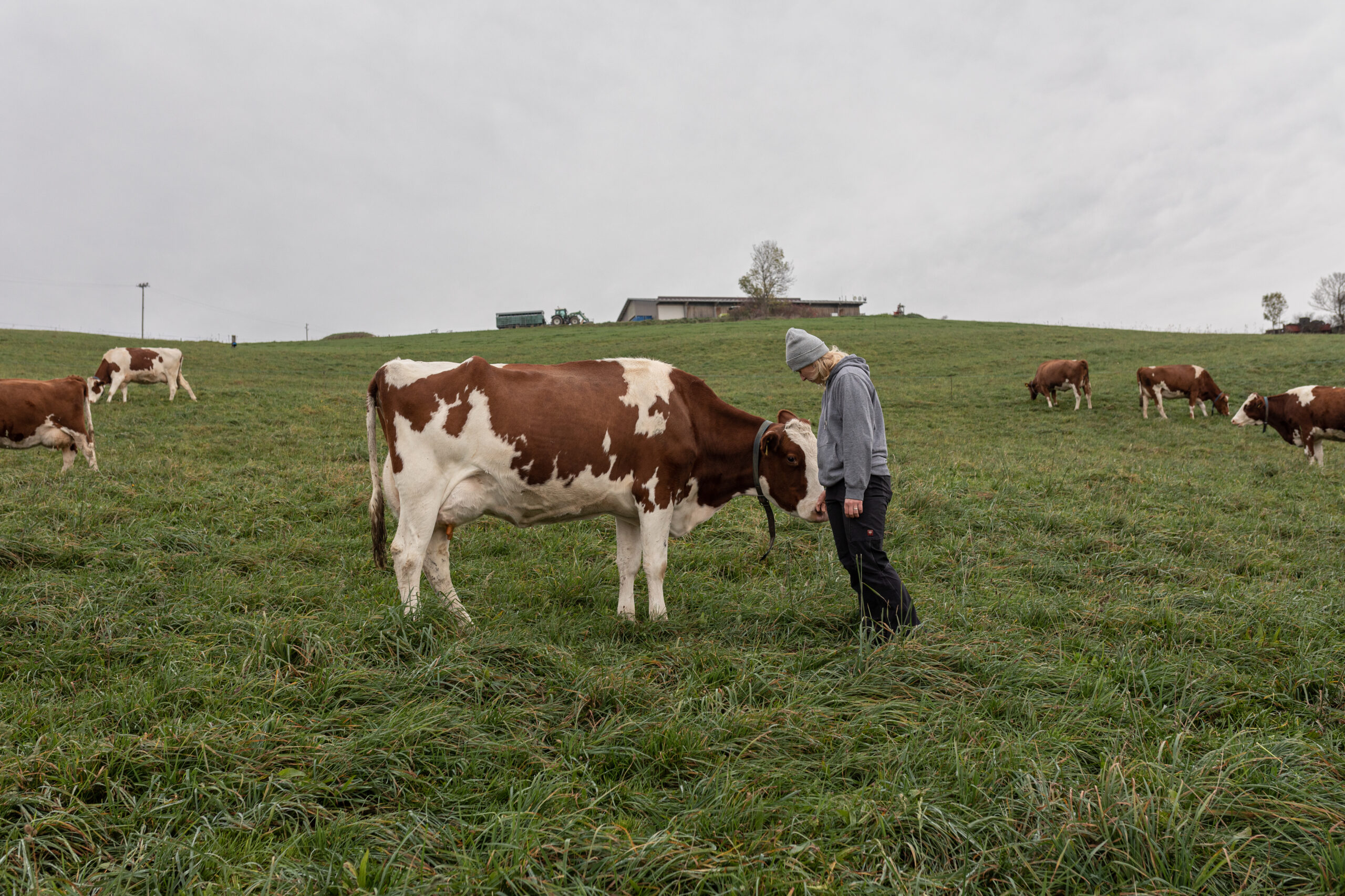 L'agricultrice le sait: les vaches sont des animaux sensibles.