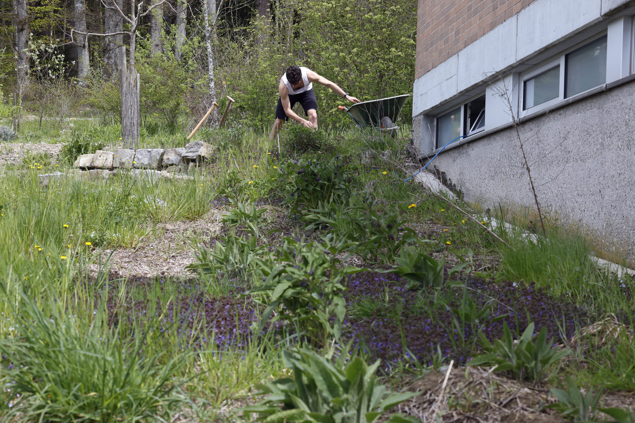 La permaculture nécessite aussi beaucoup de travail manuel.
