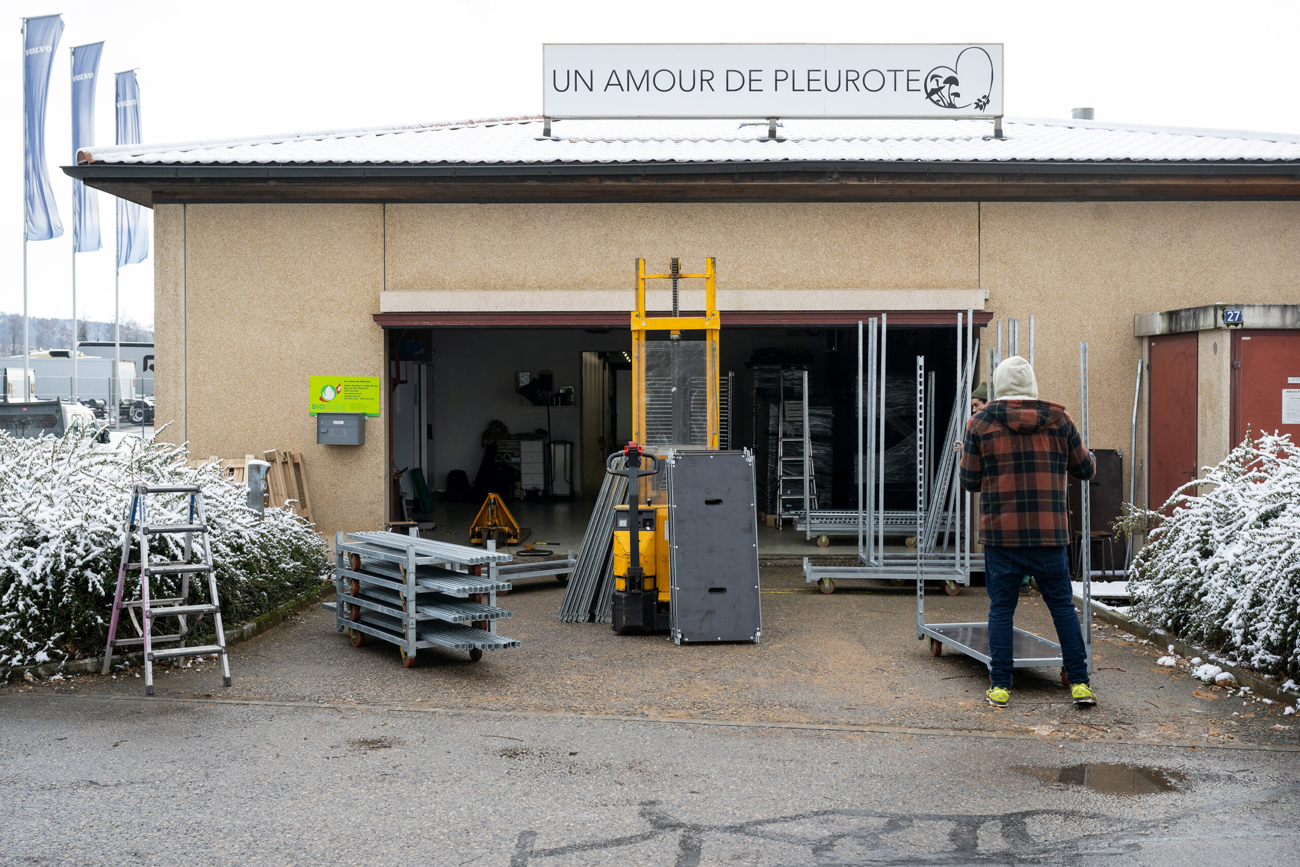 "Un amour de Pleurote": Pilzzucht im Büro
