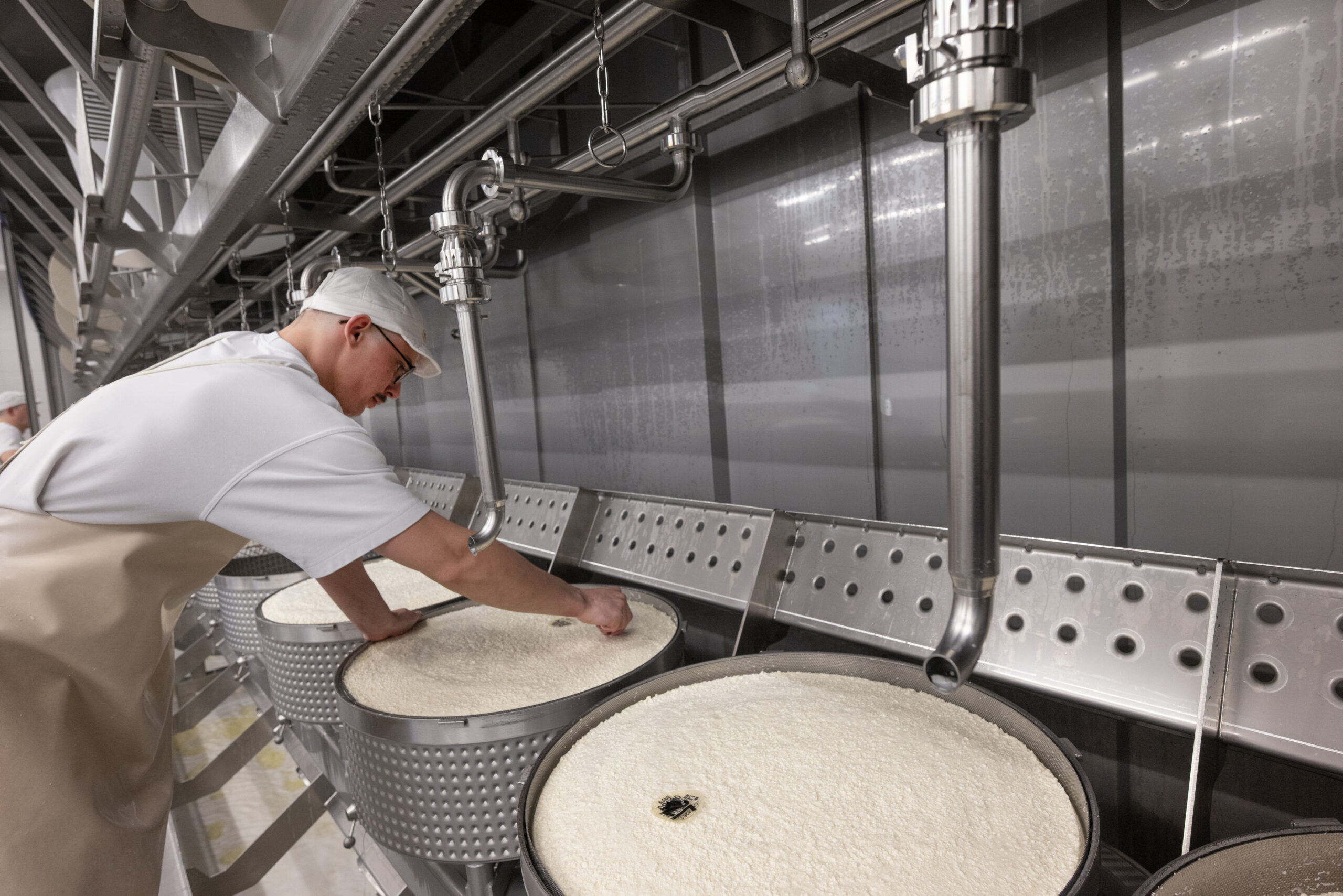 Les meules de fromage fraîchement produites portent la date du jour.