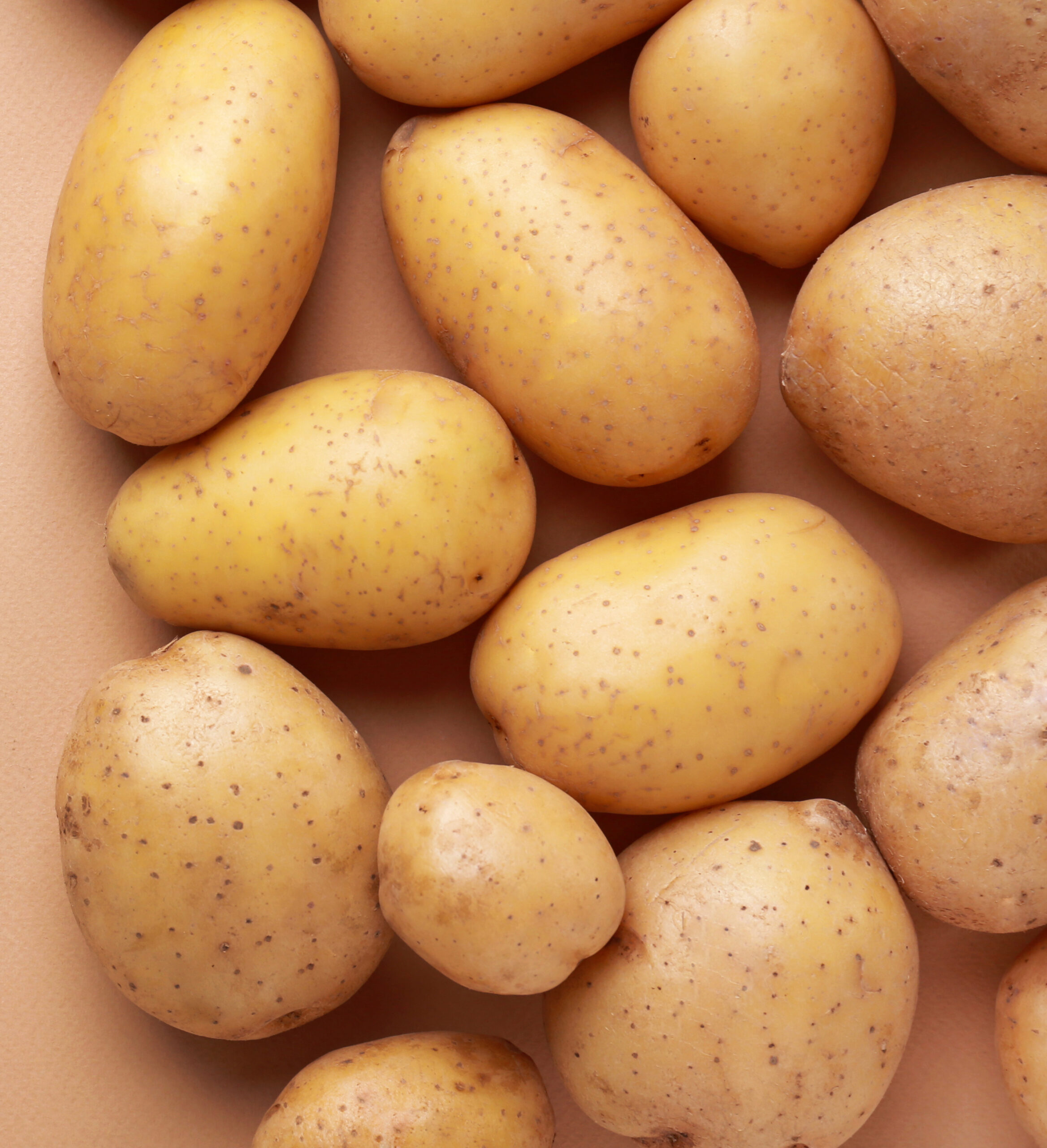 Welche Kartoffel für was?